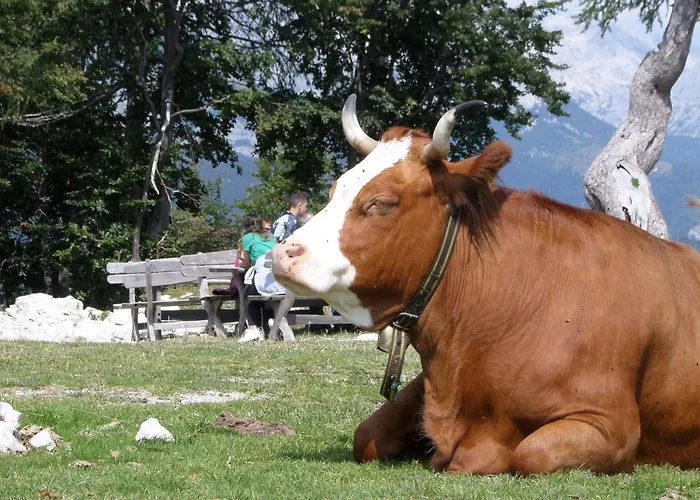 Ahorn By Interhome Daire Feistritz im Rosental